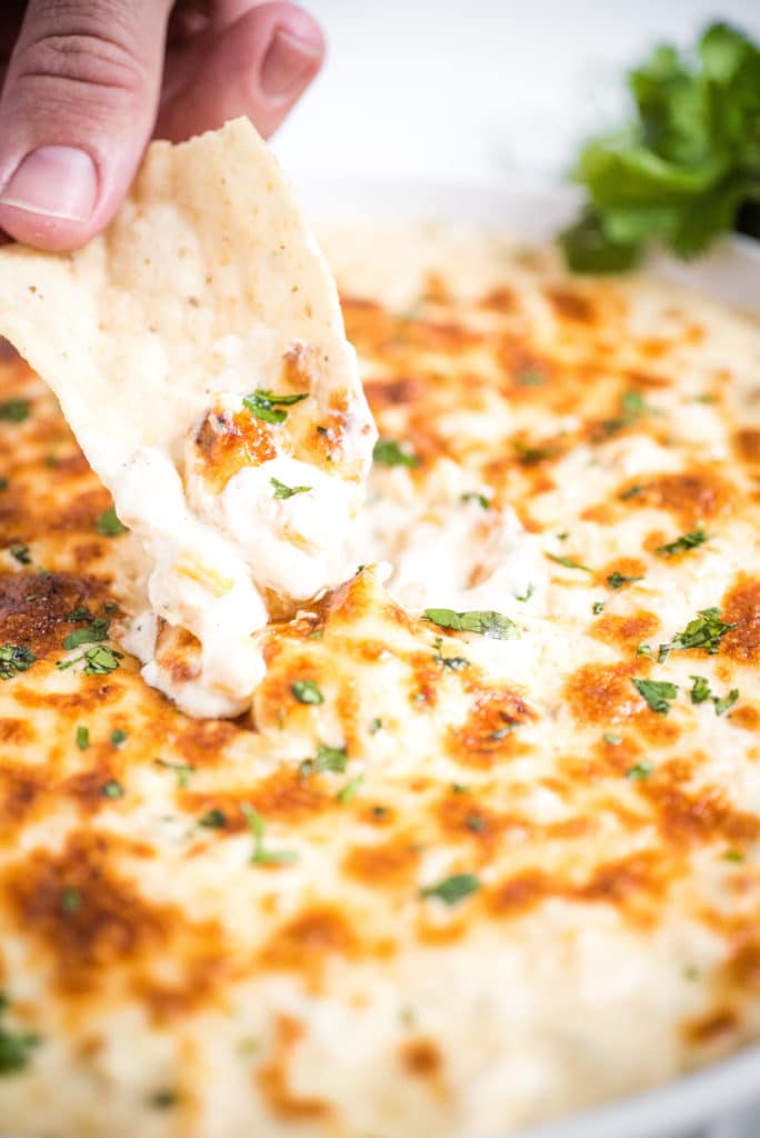 Green chile queso blanco dip with hand scooping a tortilla chip in