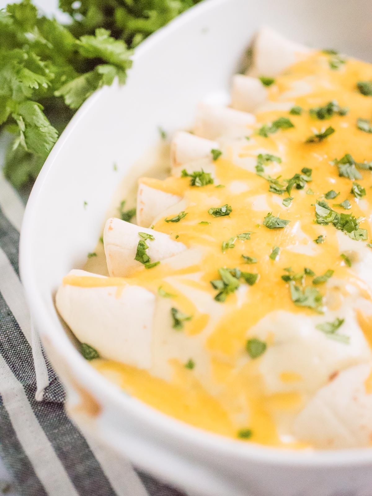 enchiladas in a white baking dish