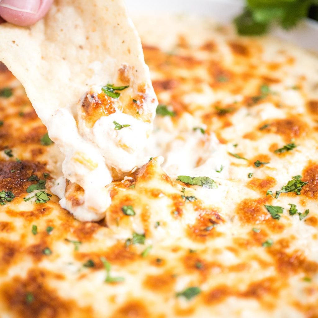 Green Chile Queso Blanco Dip Sweetly Splendid