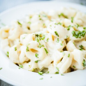 pasta covered in sauce and basil in a bowl