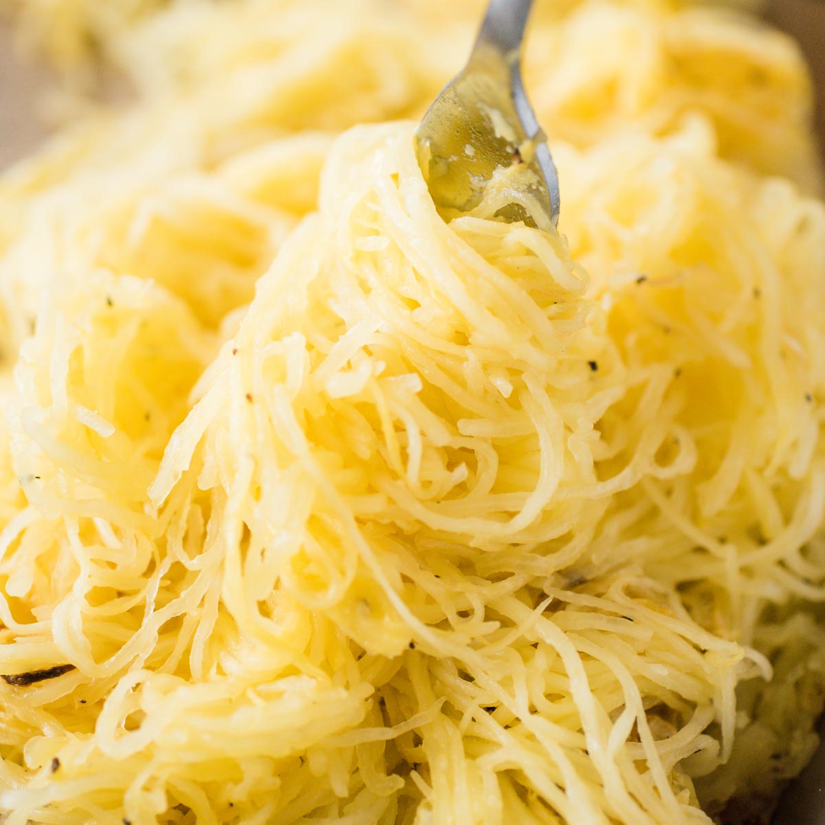 Oven Roasted Spaghetti Squash Recipe - Sweetly Splendid