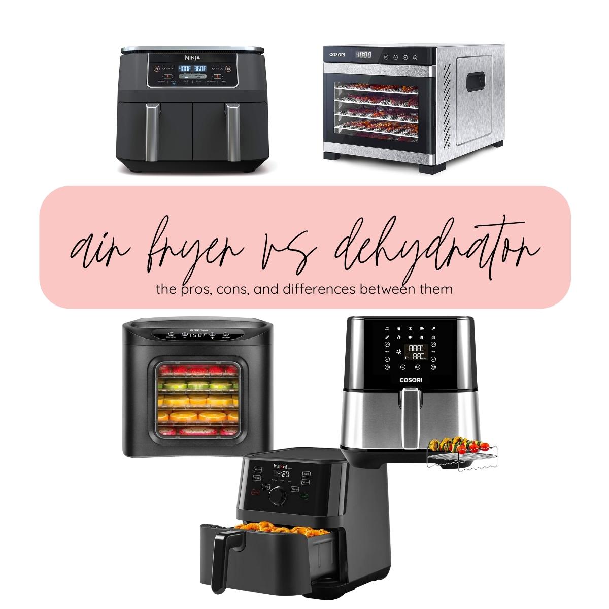 Air Fryer vs Dehydrator: Function & Best Buys - Sweetly Splendid