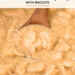 A wooden spoon rests in a pot of Southern chicken and dumplings with biscuits.
