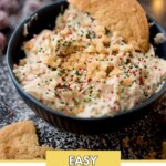 A bowl of creamy dessert topped with colorful sprinkles and a cookie on the side. The text reads sweetlysplendid.com and Easy Pudding Cookies. Crumbs and cranberries are scattered around the bowl.