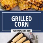Top: Close-up of grilled corn on the cob with char marks. Bottom: Uncooked corn on a tray with butter, oil, salt, pepper, and thyme arranged nearby. Text in center reads Grilled Corn and sweetlysplendid.com.