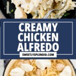 Collage image: Top half shows creamy chicken Alfredo pasta garnished with herbs on a plate. Bottom half shows a skillet with cooked pasta, chicken pieces, and dollops of cream cheese before mixing. Text overlay reads Creamy Chicken Alfredo.