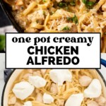 Top image: Creamy chicken Alfredo pasta with herbs in a skillet. Bottom image: Unmixed pasta, chicken, and dollops of cream in a pot. Text reads one pot creamy CHICKEN ALFREDO. Website: sweetlysplendid.com.