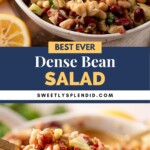 A close-up of a bowl of dense bean salad featuring kidney beans, chickpeas, artichokes, celery, and herbs. A spoon lifts a portion of the salad. Text reads: Best Ever Dense Bean Salad, sweetlysplendid.com.