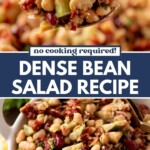 A close-up of a colorful bean salad featuring white and red beans, diced vegetables, and herbs in a bowl. Text on the image reads: No cooking required! Dense Bean Salad Recipe. sweetlysplendid.com.