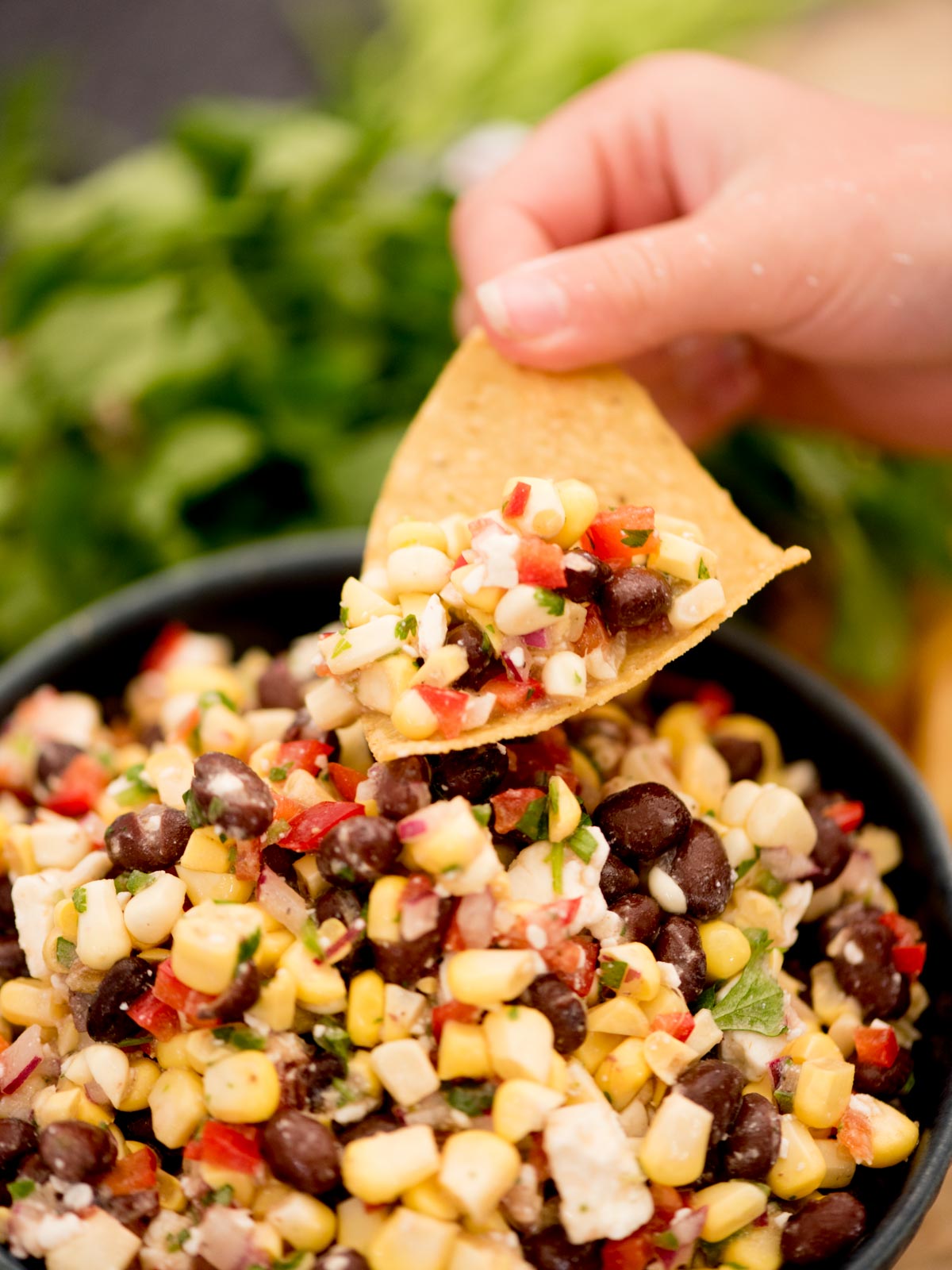 A hand dips a tortilla chip into a bowl of black bean corn feta dip, a colorful mixture featuring corn, black beans, red bell pepper, onion, herbs, and crumbled feta cheese.