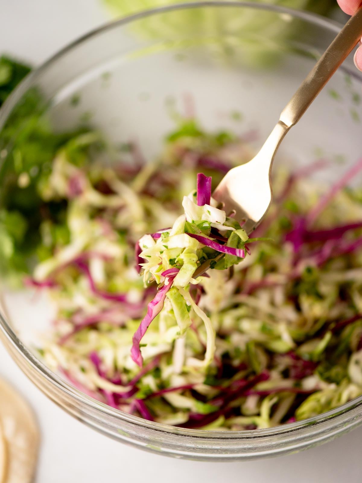 A close-up of a fork holding a bite of shredded cabbage slaw with green and purple cabbage and herbs, above a glass bowl filled with the same colorful salad.