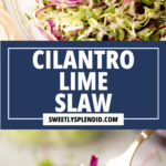 Close-up of slaw with shredded cabbage, fresh cilantro, and zesty lime in a bowl. A forkful of cilantro lime slaw is displayed. Blue box in the center reads CILANTRO LIME SLAW and sweetlysplendid.com.